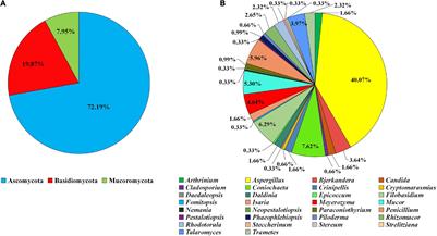 Potential Fungi Isolated From Anti-biodegradable Chinese Medicine Residue to Degrade Lignocellulose